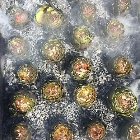 Indios Guest house Cerda