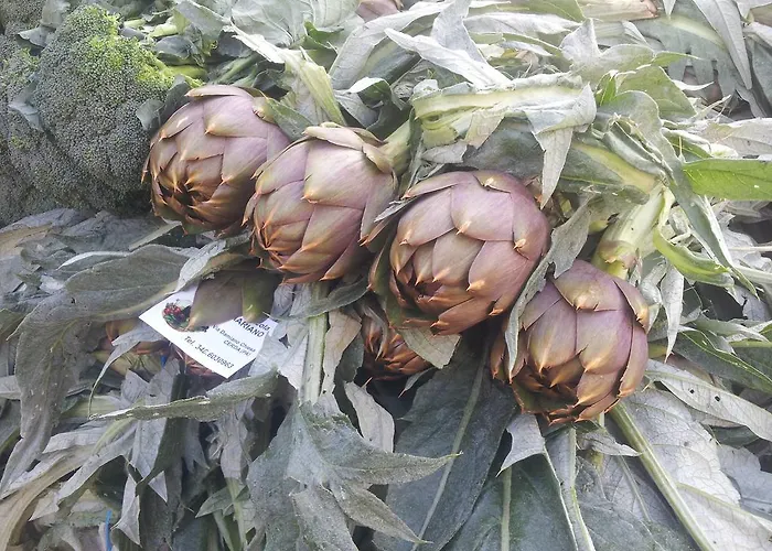 Indios Vendégház Cerda